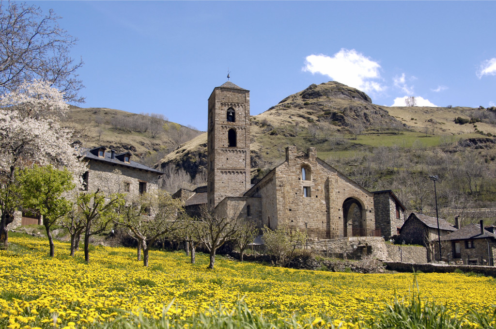 Vista general de l’exterior de l’església de la Nativitat de Durro, amb un camp de flors grogues al davant i les muntanyes al darrere.