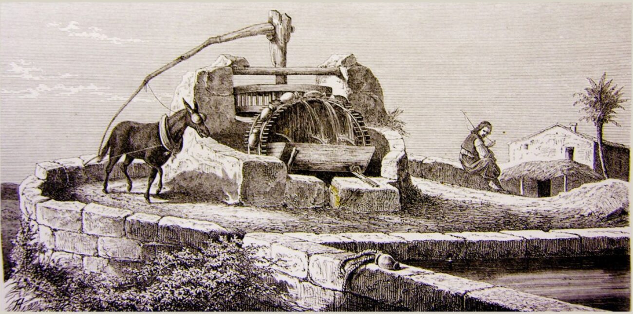 Gravat d’una sínia.